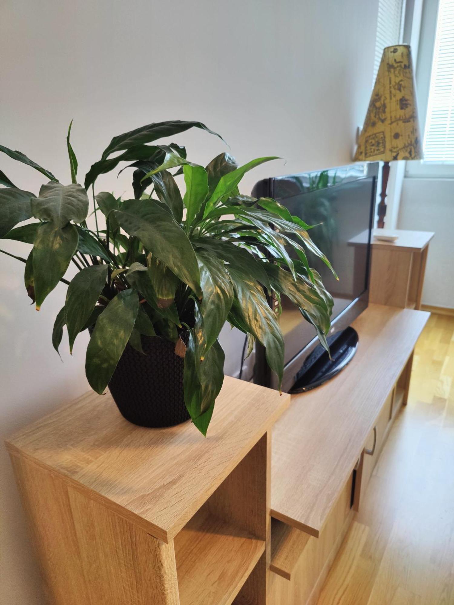 Apartman Aleksic Ниш Экстерьер фото